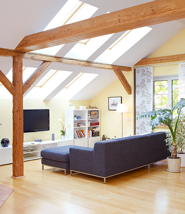 Carpenter in Havant